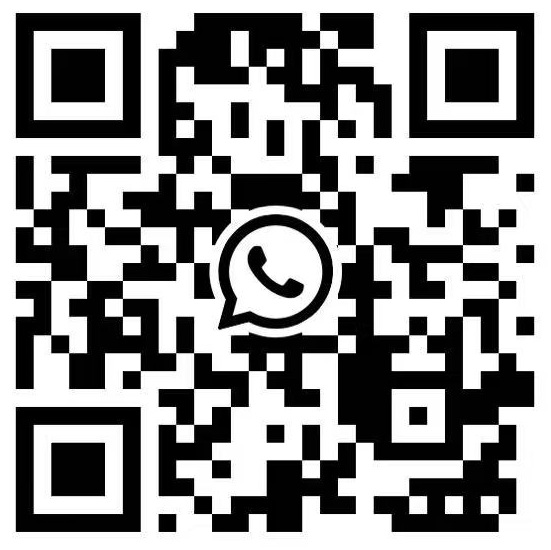 vera-whatsapp-3.jpg